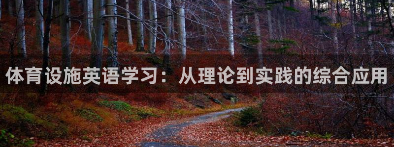 意昂4娱乐：体育设施英语学习：从理论到实践的综合应用