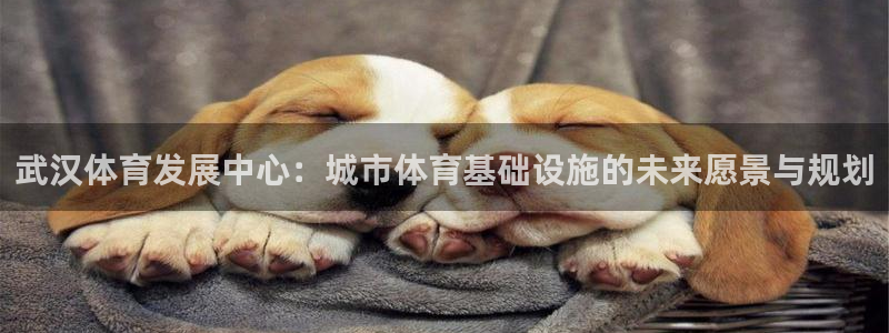 意昂4娱乐平台：武汉体育发展中心：城市体育基础设施的未来愿景