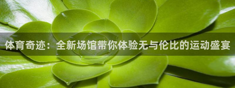 意昂4集团官网首页：体育奇迹：全新场馆带你体验无与伦比的运动