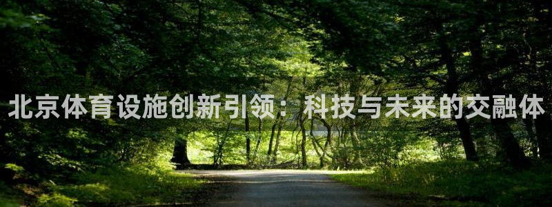 意昂体育4开户：北京体育设施创新引领：科技与未来的交