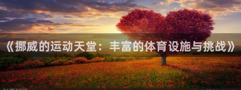 意昂体育4注册：《挪威的运动天堂：丰富的体育设施与挑