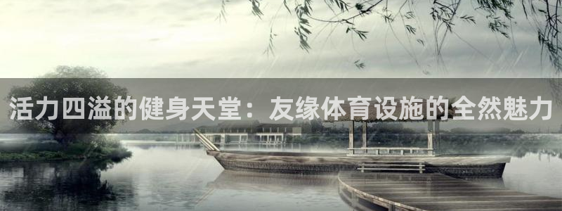 意昂4官方：活力四溢的健身天堂：友缘体育设施的全然魅