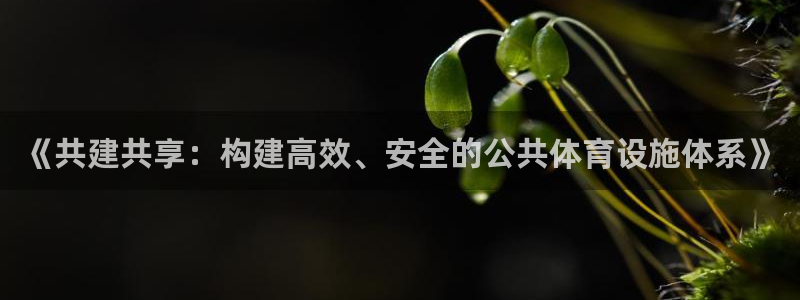 意昂体育4招商电话号码是多少啊：《共建共享：构建高效