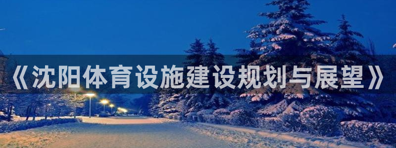 意昂体育4娱乐：《沈阳体育设施建设规划与展望》