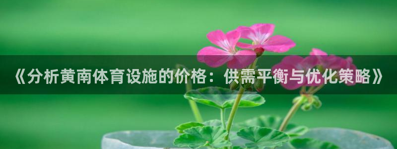 德国意昂4集团：《分析黄南体育设施的价格：供需平衡与