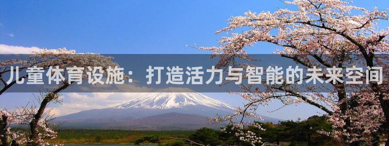 意昂4神州：儿童体育设施：打造活力与智能的未来空间