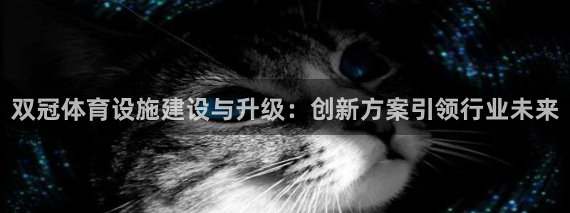 意昂4集团简介：双冠体育设施建设与升级：创新方案引领