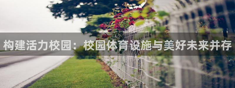 意昂体育4注册：构建活力校园：校园体育设施与美好未来