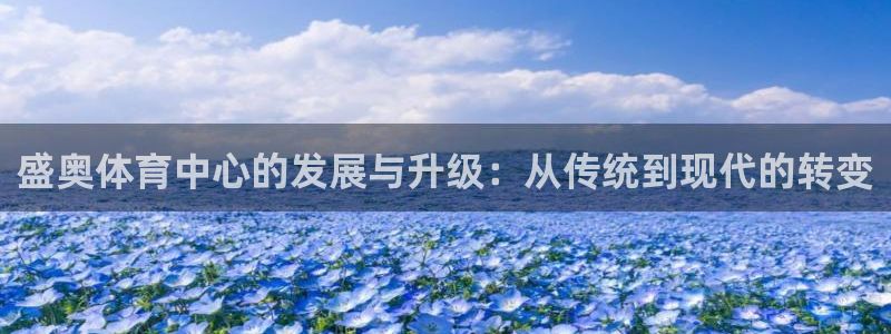 意昂4官网：盛奥体育中心的发展与升级：从传统到现代的
