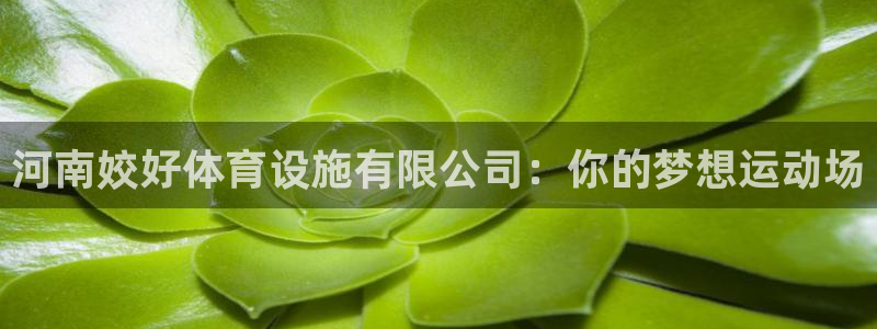 海南意昂体育4：河南姣好体育设施有限公司：你的梦想运