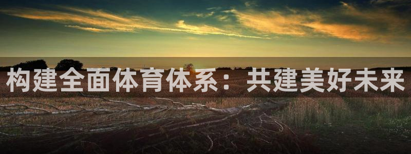 意昂体育4平台是正规平台吗：构建全面体育体系：共建美