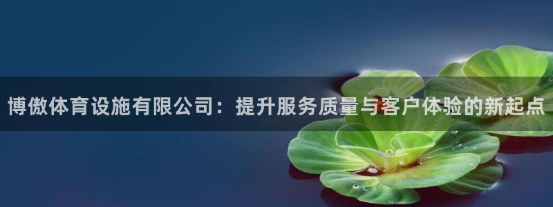 意昂体育4平台注册流程图：博傲体育设施有限公司：提升