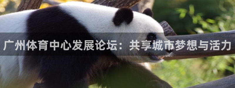意昂4代理:广州体育中心发展论坛:共享城市梦想与活力