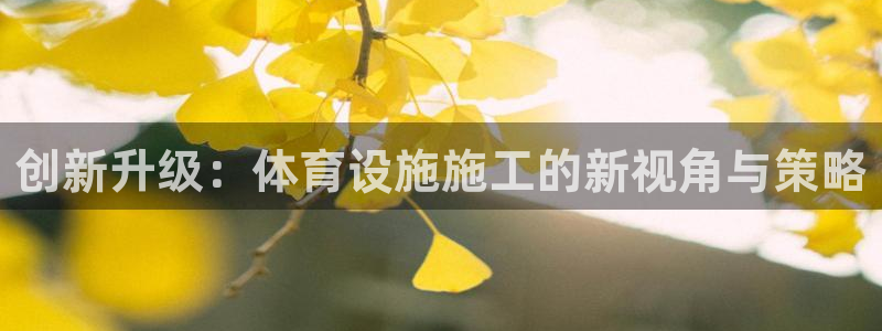 意昂体育4开户：创新升级：体育设施施工的新视角与策略