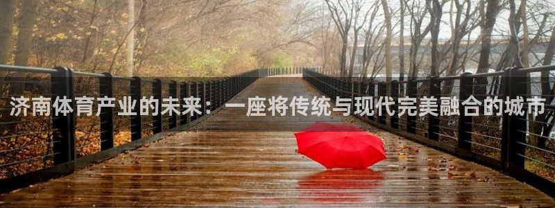 意昂体育4平台注册流程图：济南体育产业的未来：一座将传统与现 