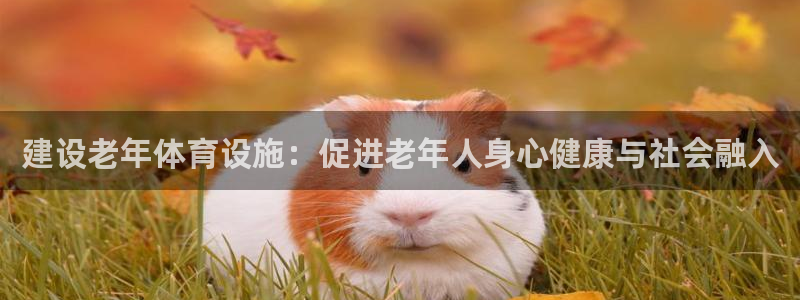 意昂4娱乐首页官网下载：建设老年体育设施：促进老年人身心健康