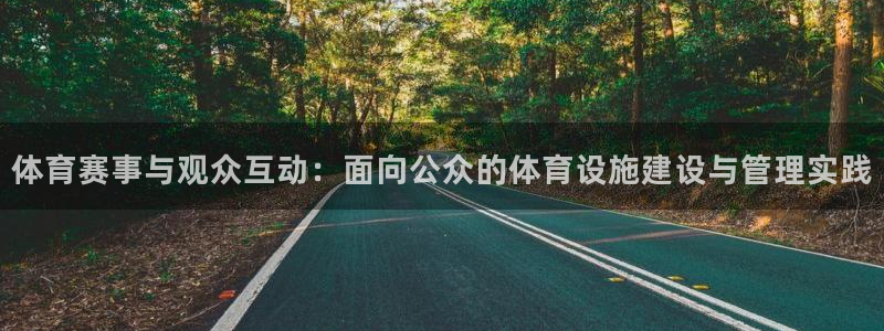 意昂体育4平台APP：体育赛事与观众互动：面向公众的体育设施