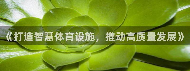 意昂4官网：《打造智慧体育设施，推动高质量发展》
