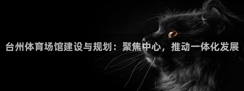 意昂4集团E.ON：台州体育场馆建设与规划：聚焦中心，推动一