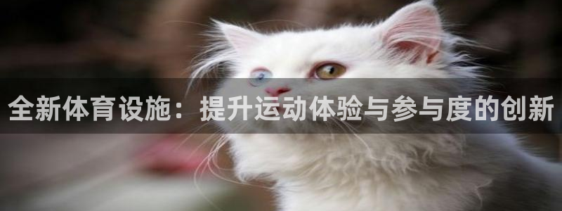 意昂体育4平台注册：全新体育设施：提升运动体验与参与度的创新 