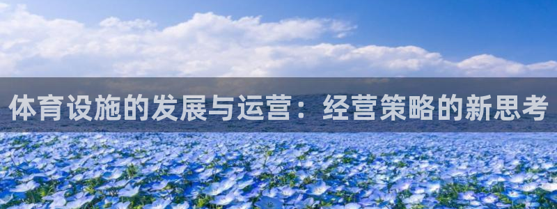 意昂体育4是干嘛的公司：体育设施的发展与运营：经营策略的新思