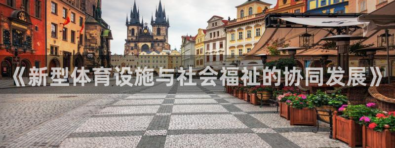 意昂体育4招商电话地址查询：《新型体育设施与社会福祉的协同发