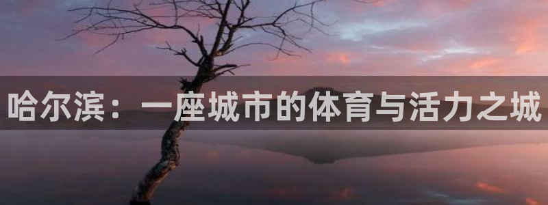 意昂体育4平台注册流程视频：哈尔滨：一座城市的体育与活力之城