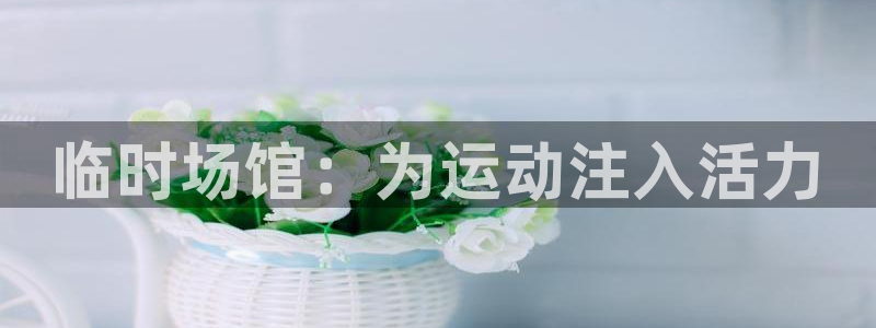 意昂体育4是干嘛的公司：临时场馆：为运动注入活力