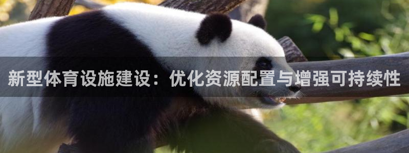 意昂体育4招商电话是多少号码：新型体育设施建设：优化资源配置 