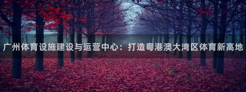 意昂体育4招商：广州体育设施建设与运营中心：打造粤港澳大湾区
