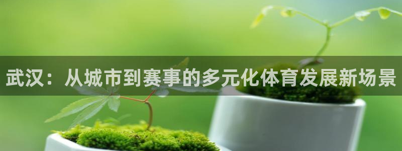 意昂4娱乐平台：武汉：从城市到赛事的多元化体育发展新场景