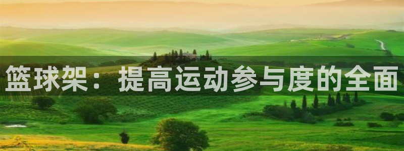 意昂体育4平台是正规平台吗安全吗：篮球架：提高运动参与度的全