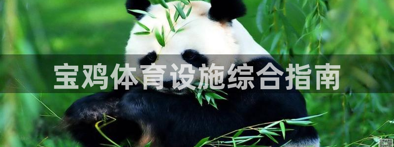 意昂4新能源：宝鸡体育设施综合指南 