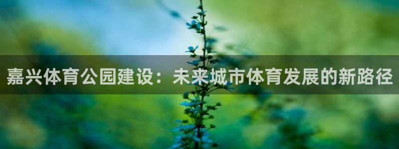 意昂体育4平台注册要钱吗安全吗