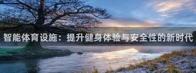 意昂4新能源