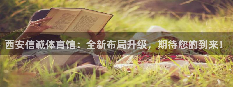 德国意昂4集团
