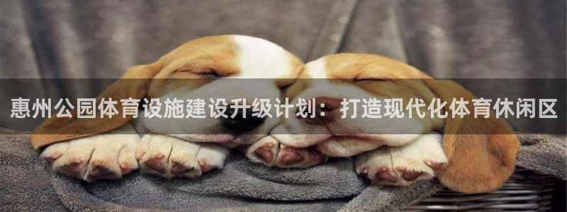 意昂4新能源