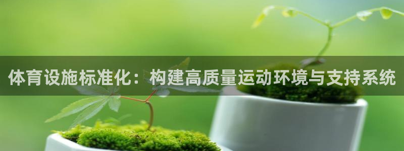 意昂4集团简介：体育设施标准化：构建高质量运动环境与支持系统