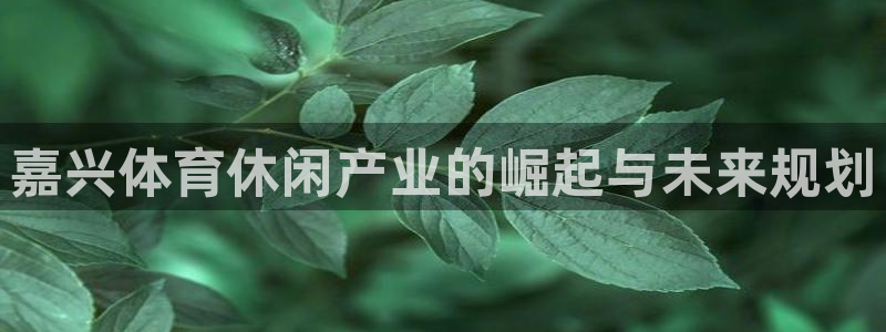 海南意昂体育4发展怎么样：嘉兴体育休闲产业的崛起与未来规划 