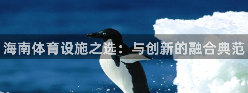 海南意昂体育4发展怎么样：海南体育设施之选：与创新的融合典范