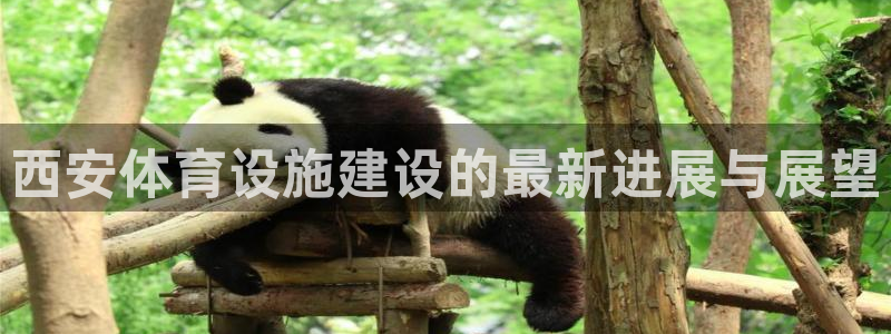 意昂4娱乐下载