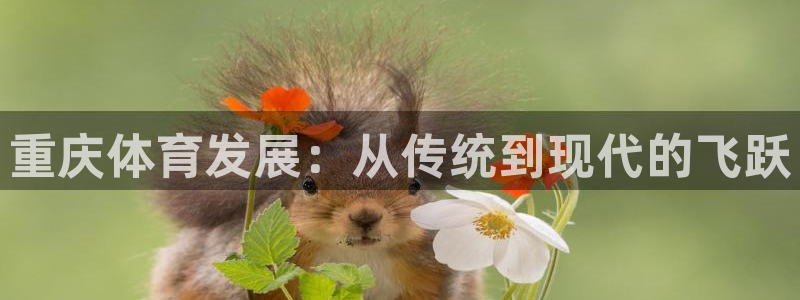 意昂体育4平台假的吗是真的吗